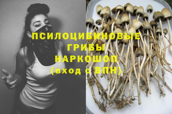 марки lsd Богданович