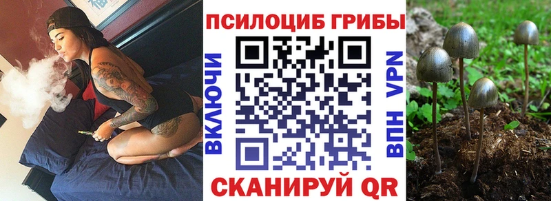 Псилоцибиновые грибы мухоморы  площадка формула  Полярные Зори 